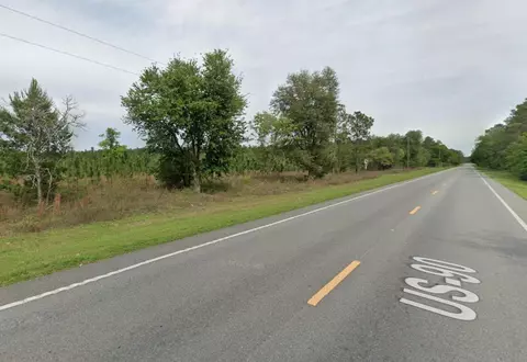 441 NE Mango Ave, Lee, FL 32059 photo 8
