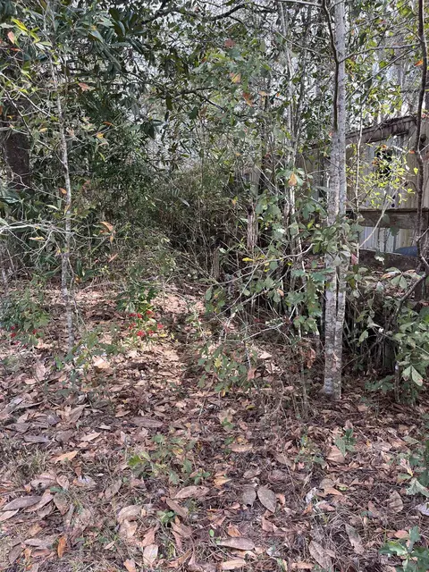 50 E Pinhook Rd, Monticello, FL 32344 photo 6