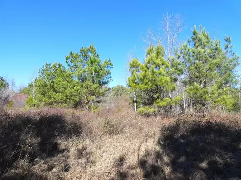 tbd Orchard Ln, Monticello, FL 32344