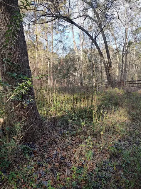 0 Megans Ln #UNPLATTED LAND, Tallahassee, FL 32309