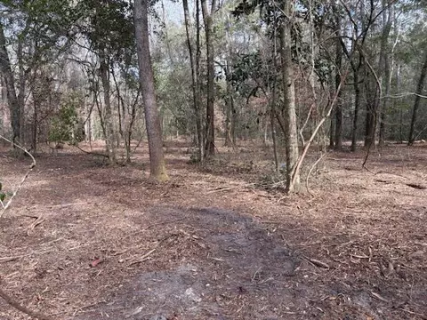 Nn Tharpe Lane, Crawfordville, FL 32327