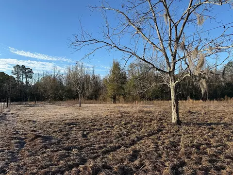 Vacant SW Wyoming Avenue, Lamont, FL 32336