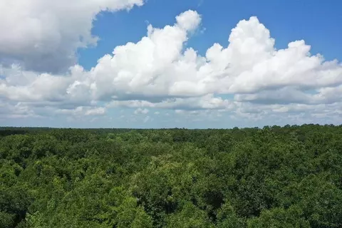 Nn S Lanier Road, Havana, FL 32333