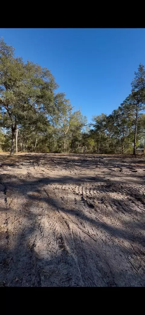 Nn Tickie Ridge Circle, Crawfordville, FL 32327