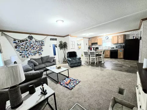 1121 NE Vaughn Ln, Steinhatchee, FL 32359 photo 11