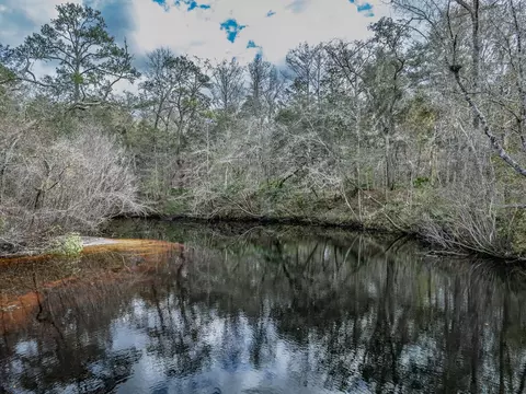 lot92 Cheyenne Dr, Sopchoppy, FL 32358