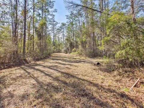 lot81 SW Oregon Trl, Greenville, FL 32331