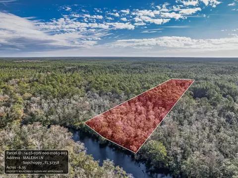Nnn Maleah Lane, Sopchoppy, FL 32358