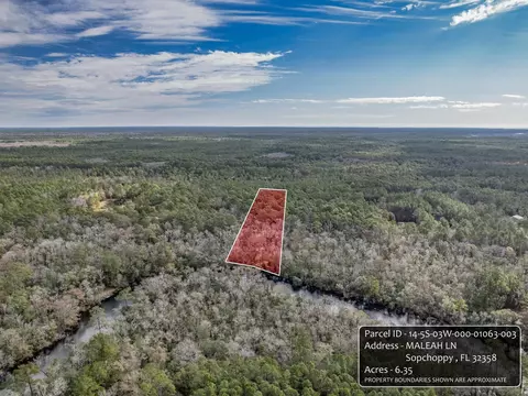 Nnn Maleah Lane, Sopchoppy, FL 32358