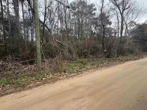 Nn Baby Farm Drive, Tallahassee, FL 32310