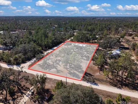 15649 Shell Dr, Perry, FL 32348 photo 9