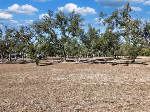 15649 Shell Dr, Perry, FL 32348 photo 6