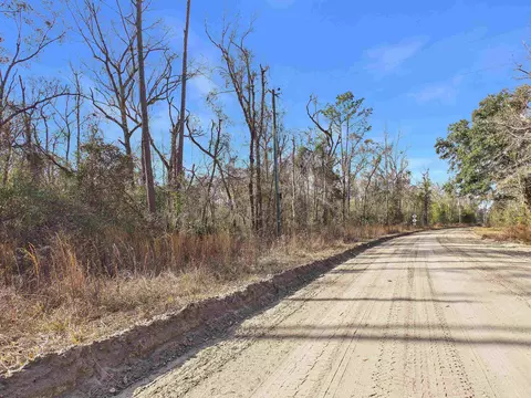 Vacant NE River Park Road, Lee, FL 32059