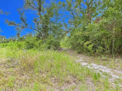 00 Shady Oaks Dr, Perry, FL 32348 photo 13