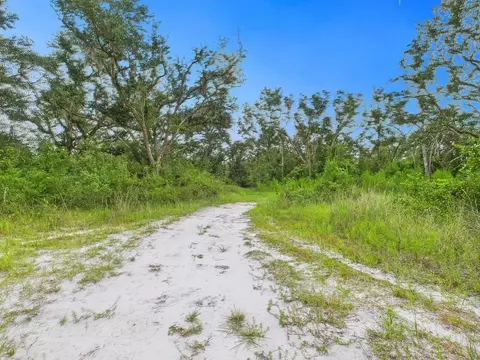 00 Shady Oaks Dr, Perry, FL 32348 photo 9