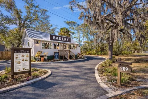 Exterior - 209 SE 10th St, Steinhatchee, FL 32359 photo 4 of 10