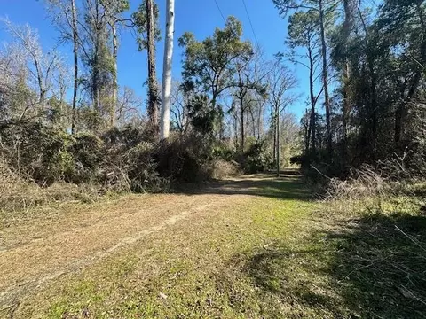Nnn Lovett Road, Crawfordville, FL 32327