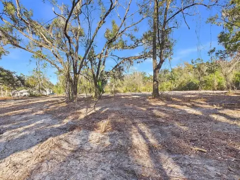 tbd Shady Oaks Dr, Perry, FL 32348 photo 3
