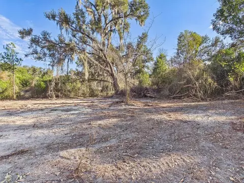 tbd Shady Oaks Dr, Perry, FL 32348 photo 4