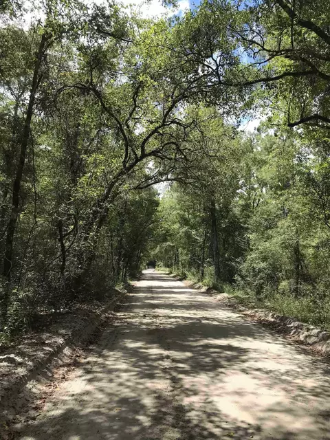 0 Andrew Spears Rd, Crawfordville, FL 32327