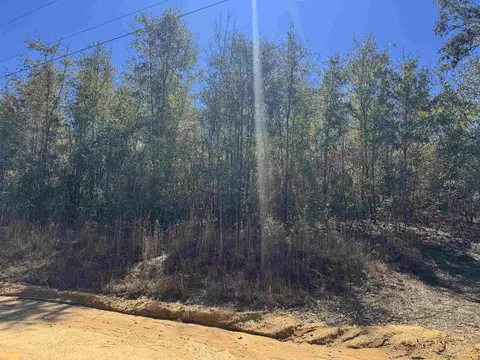 NE Rocky Ford Road, Pinetta, FL 32350