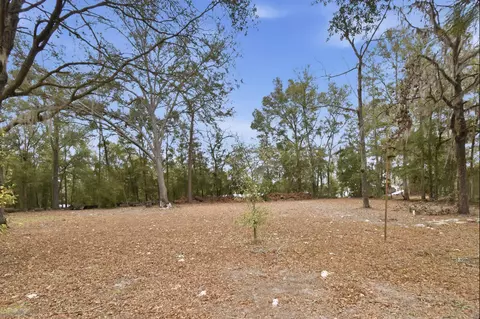 21674 E Shekinah Pl, O Brien, FL 32071 photo 23