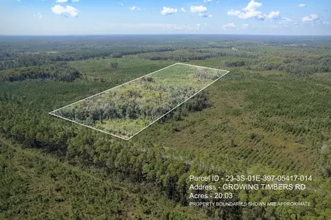 lot6 Rock Crusher Rd, Crawfordville, FL 32327
