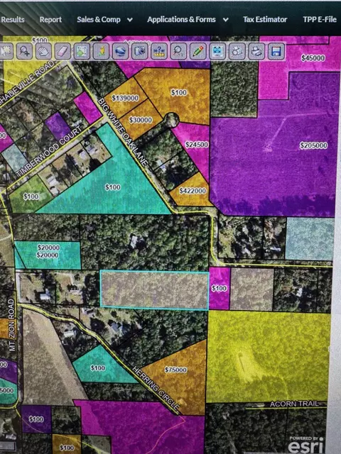 Nnn Mt Zion Road, Crawfordville, FL 32327