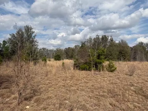 Sw Cr 751 Road, Jasper, FL 32052 photo 6