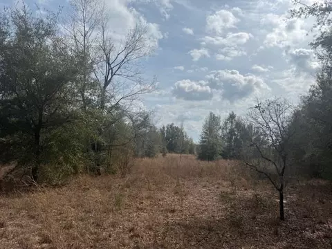 Sw Cr 751 Road, Jasper, FL 32052 photo 14