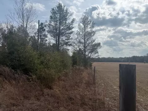 Sw Cr 751 Road, Jasper, FL 32052 photo 11