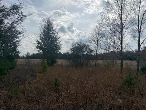 Sw Cr 751 Road, Jasper, FL 32052 photo 3