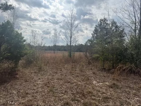 Sw Cr 751 Road, Jasper, FL 32052 photo 9