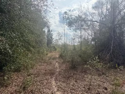 Sw Cr 751 Road, Jasper, FL 32052 photo 12