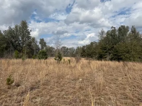 Sw Cr 751 Road, Jasper, FL 32052 photo 7