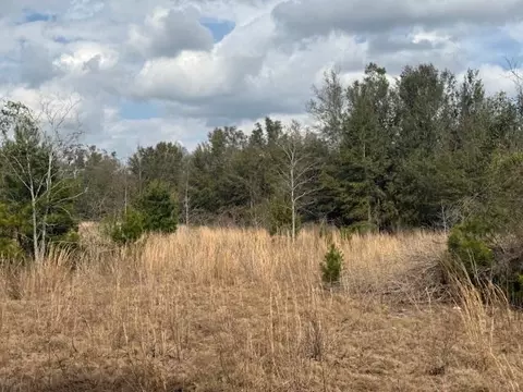 Sw Cr 751 Road, Jasper, FL 32052 photo 5