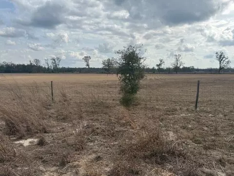 Sw Cr 751 Road, Jasper, FL 32052 photo 2