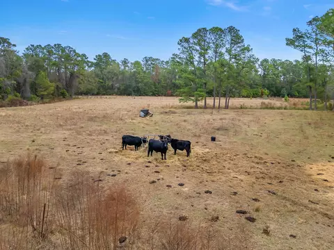 701 N Barber Hl, Lamont, FL 32336