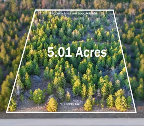 0000 NE Loblolly Trl, Lee, FL 32059