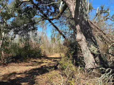 tbd SW Cow Rd, Madison, FL 32340