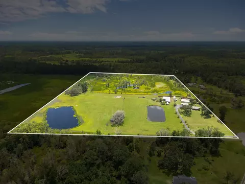 View/Area - 5481 Turner Rd, Perry, FL 32348 photo 4 of 7