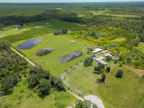 View/Area - 5481 Turner Rd, Perry, FL 32348 photo 3 of 7
