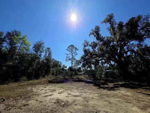 Exterior - 302 W Spring Pl, Perry, FL 32347 photo 3 of 3