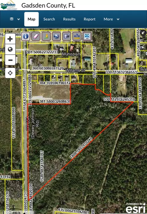 360 Dewey Johnson Way, Gretna, FL 32332