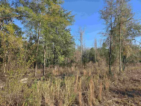 Nnn NE Sr 20, Hosford, FL 32334