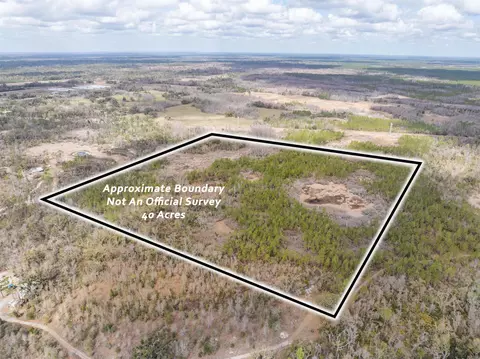 Vacant 40 Acres Ellison Frith Road, Perry, FL 32348