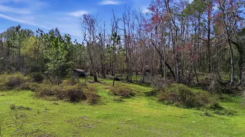 000 Old Dixie Hwy, Perry, FL 32347 photo 23