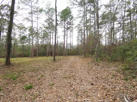 576 Cox Rd, Monticello, FL 32344
