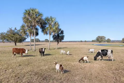 Jackson View Drive, Tallahassee, FL 32303