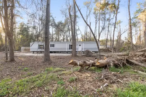 295 W J Hatchett Rd, Lamont, FL 32336 photo 20